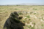 Ancient settlement Podaetak